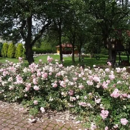 Skalny Apartamenty, Pokoje Ogrodzieniec Exterior foto