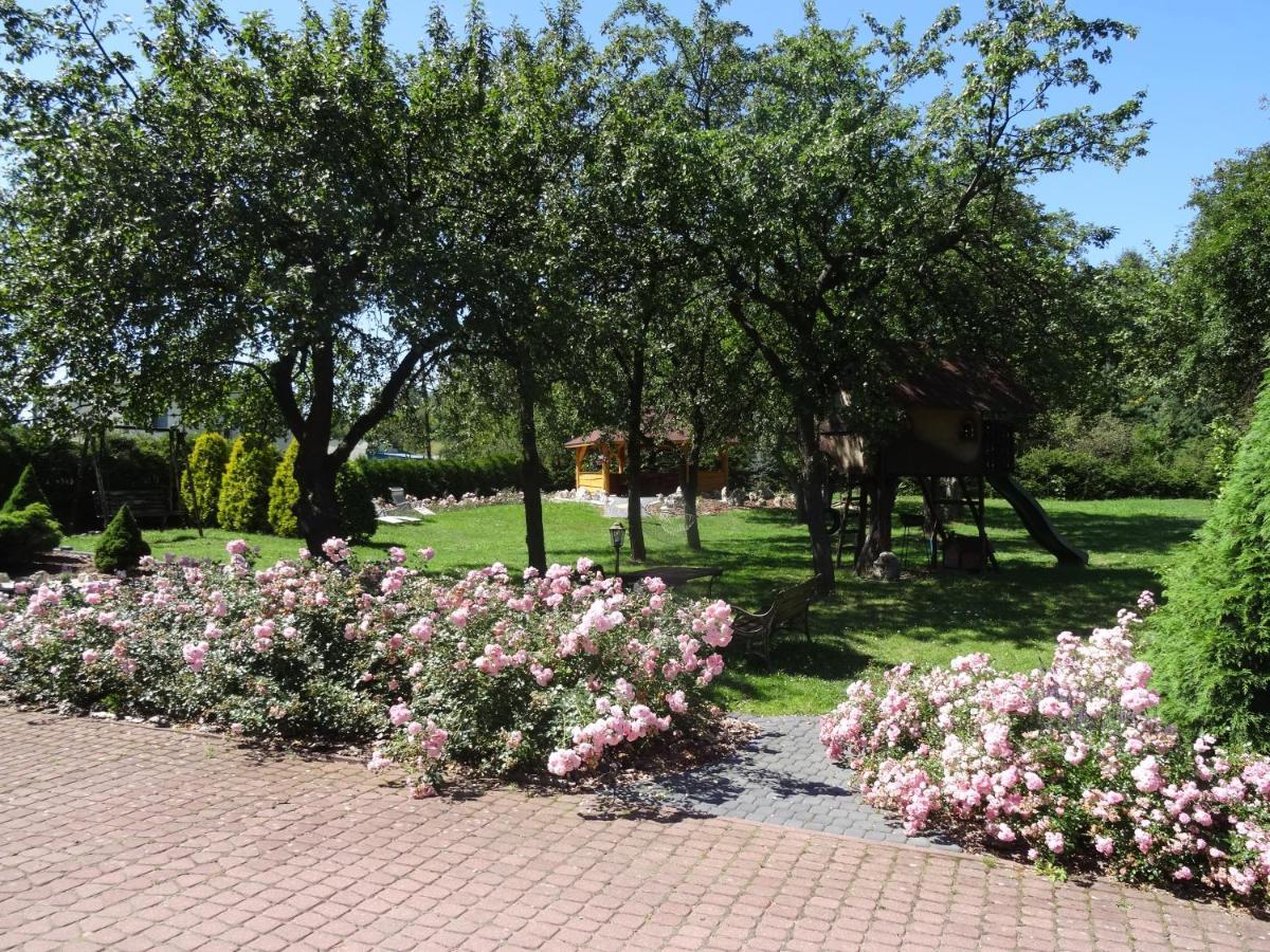 Skalny Apartamenty, Farm stay
