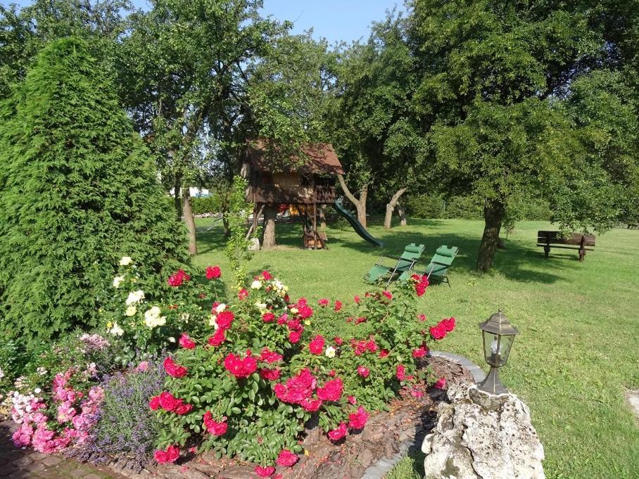 Skalny Apartamenty,