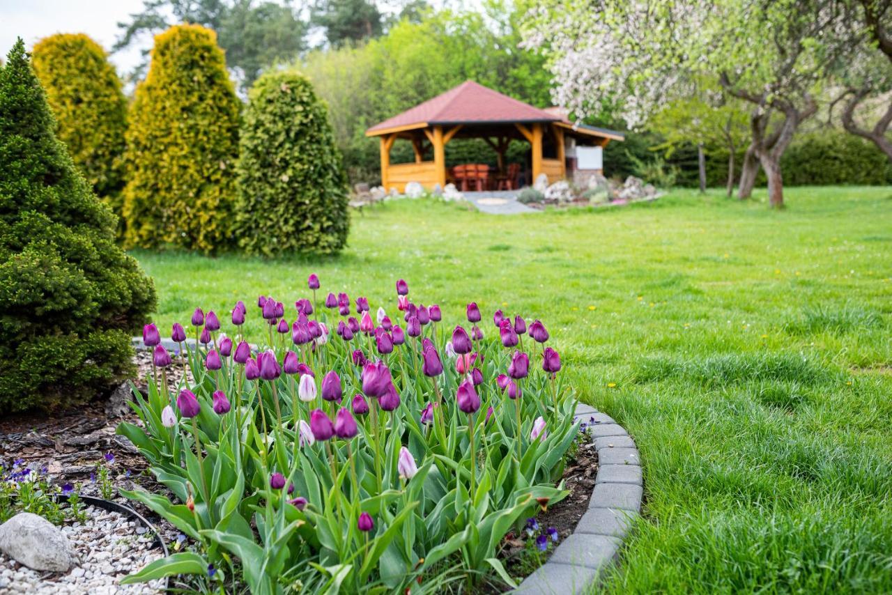 Farm stay Skalny Apartamenty,