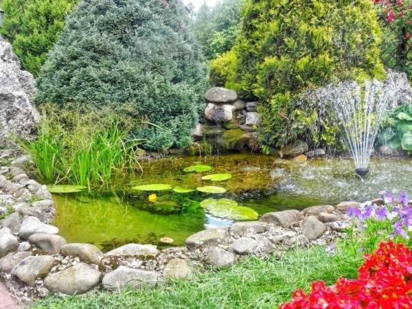 Agroturismo Skalny Apartamenty,
