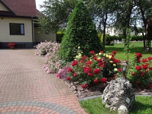 Skalny Apartamenty, Agroturismo Ogrodzieniec